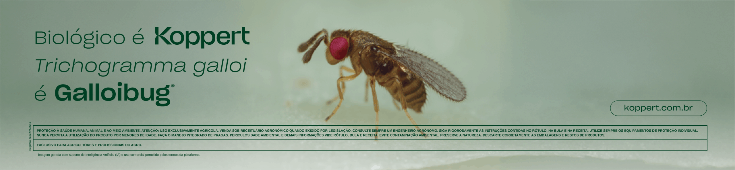 Banner-site_Coplacana