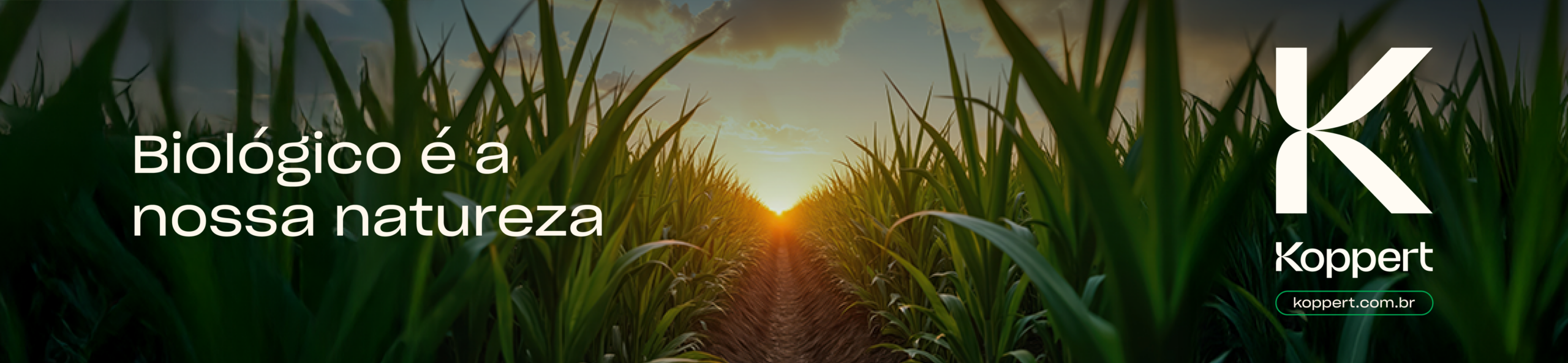 Banner_Site_1120x260px_01_ Koppert-Coplacana
