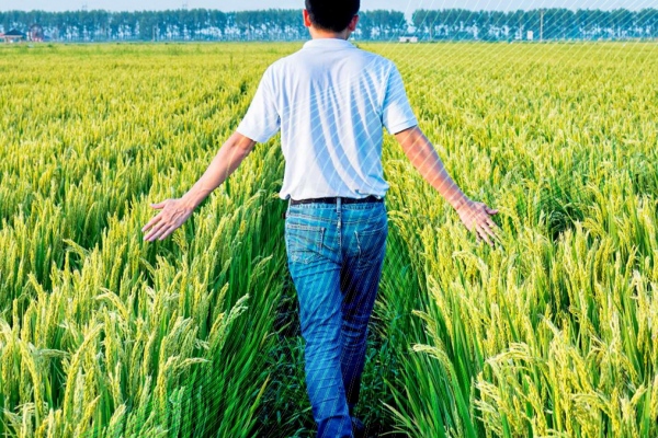 Screenshot_5-rajweyebk7g46mu78qrq8g11135422czgyqt0yq6jk